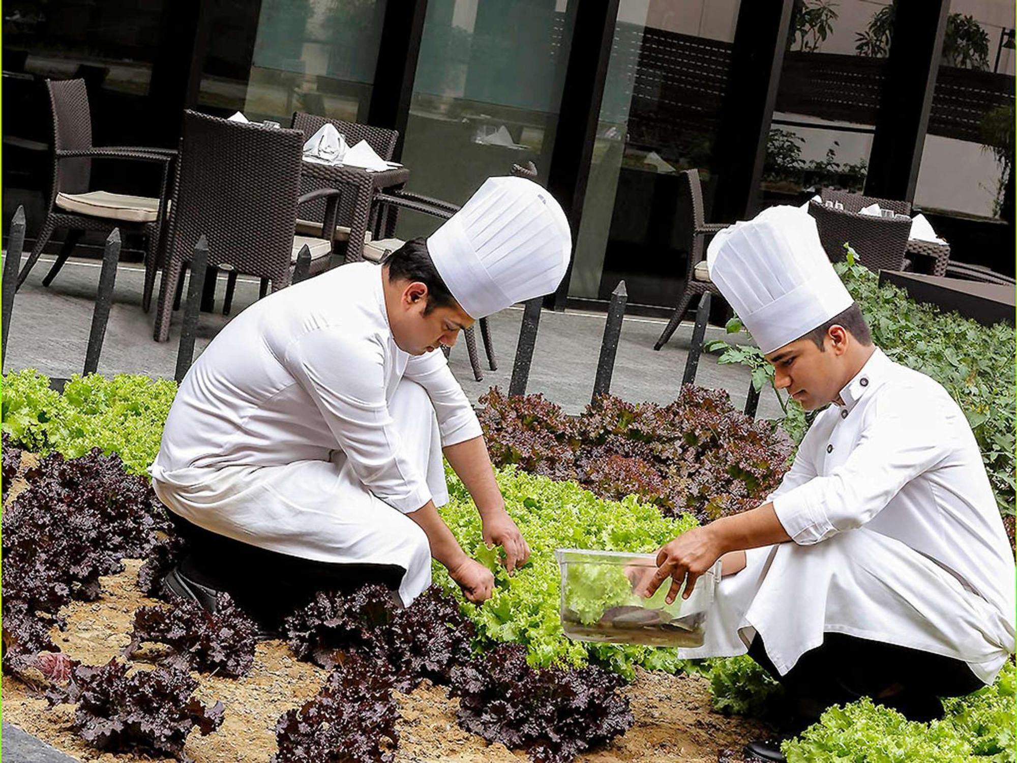Pullman New Delhi Aerocity Buitenkant foto Students working in the school's garden